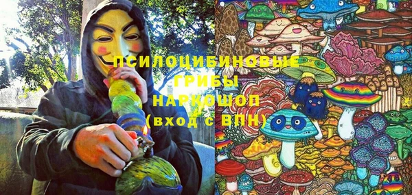 PSILOCYBIN Армянск