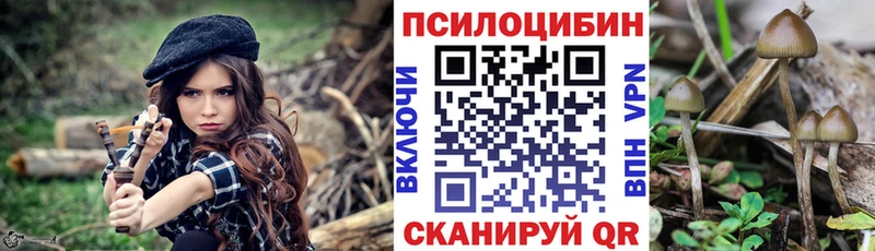 Галлюциногенные грибы Psilocybine cubensis  Новодвинск 