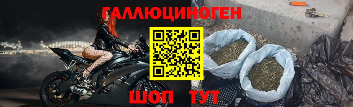 Галлюциногенные грибы MAGIC MUSHROOMS  Вход с VPN  закладка  Новодвинск 